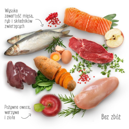 Purizon Adult Ryba, bez zbóż (400g)